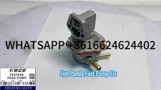 FIAT 7537698 7564923 7581031 BƠM NHIÊN LIỆU DIESEL 7797698 7581032 BCD2185/5 PHÙ HỢP CHO GẤU TRÚC