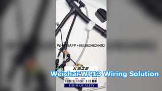 KBZE 1006889780 WEICHAI WP13 ĐỘNG CƠ DÂY DÂY DÂY CHO XE TẢI KHAI THÁC KHAI THÁC KHAI THÁC TONLY LGMG SANY XCMG
